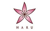 HARU GLOBAL BEAUTY SDN BHD