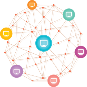 Network License