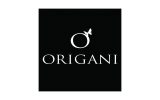 origani logo