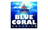 blue coral