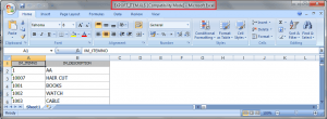 IRS POS Export Item